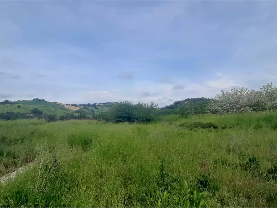 Immagine 11 di Terreno edificabile in vendita  in Via Nazionale a Vallefoglia
