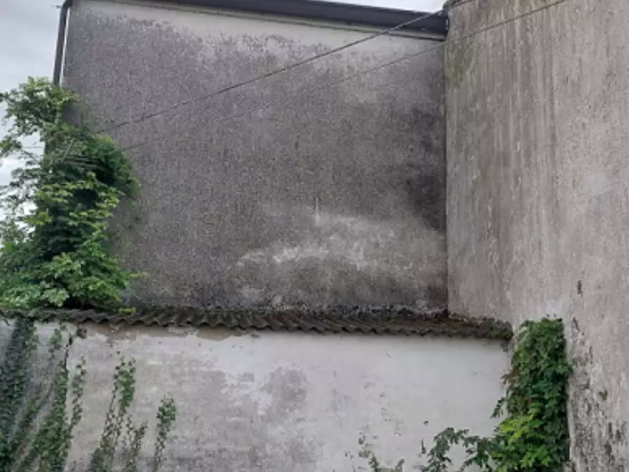 Immagine 16 di Casa indipendente in vendita  in Via Anconetta a Villanova Marchesana