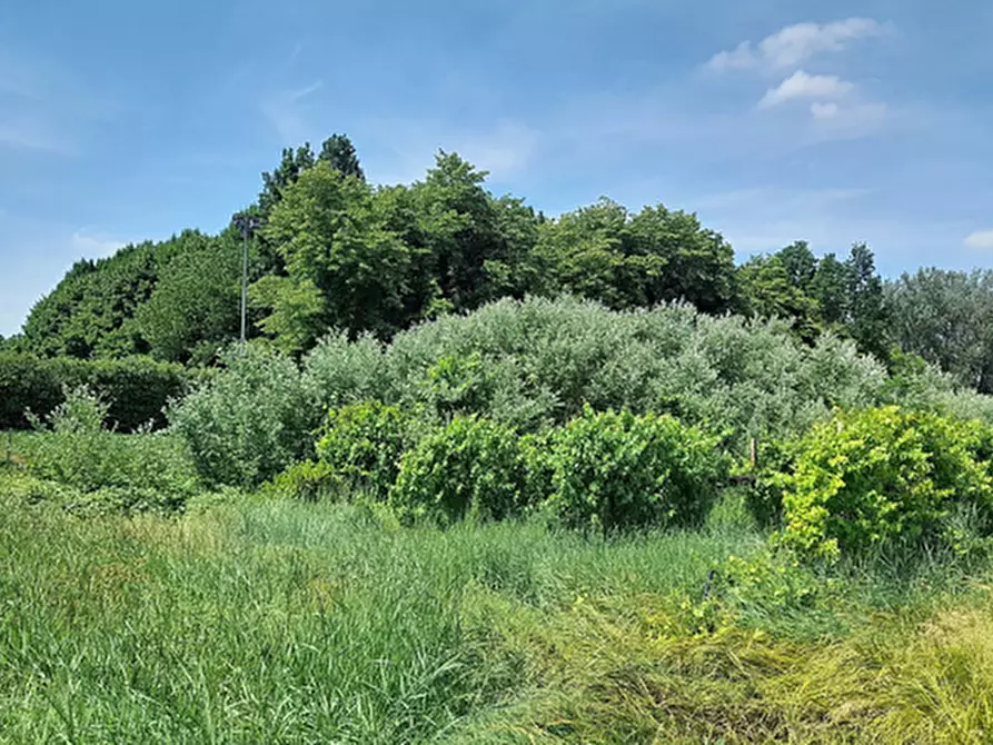 terreno agricolo in vendita a Carpi