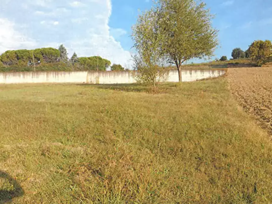 Immagine 7 di Terreno edificabile in vendita  in Via Maestri del lavoro D’Italia a Fano