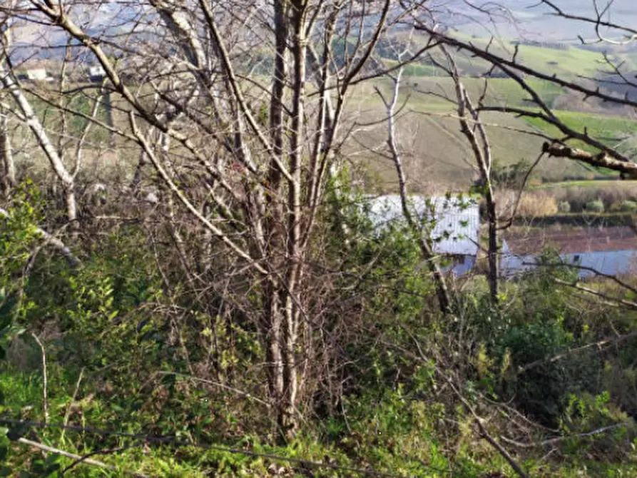 Immagine 2 di Terreno agricolo in vendita  in Contrada S. Girolamo a Fermo
