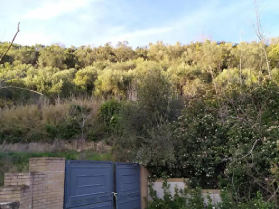 Immagine 5 di Terreno agricolo in vendita  in Contrada S. Girolamo a Fermo