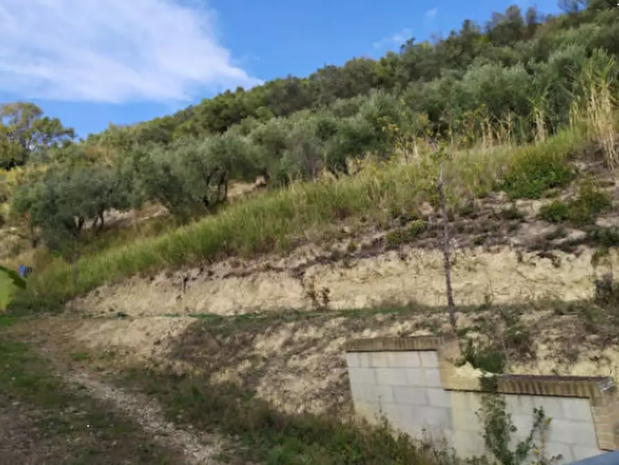 Immagine 6 di Terreno agricolo in vendita  in Contrada S. Girolamo a Fermo
