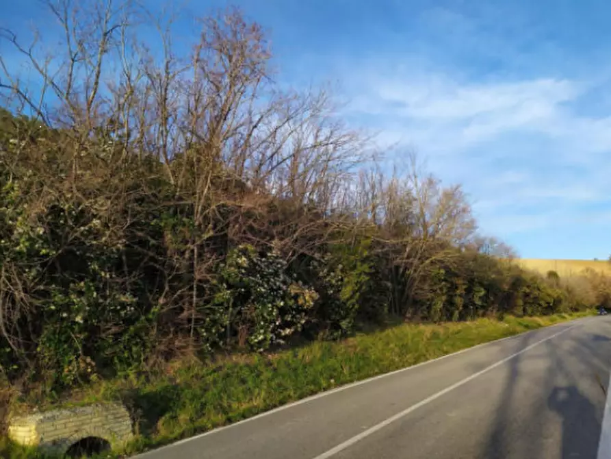 Immagine 7 di Terreno agricolo in vendita  in Contrada S. Girolamo a Fermo