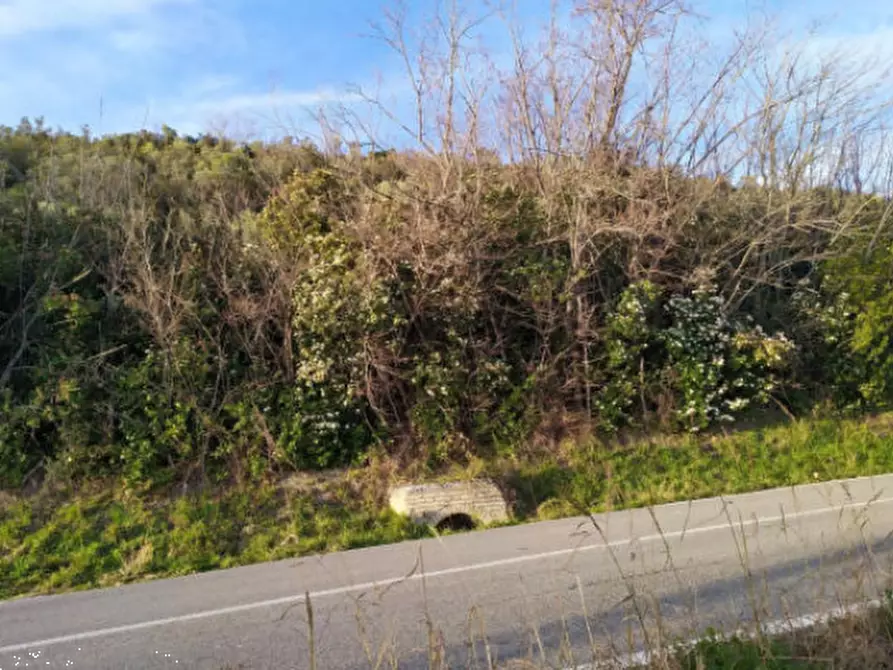 Immagine 8 di Terreno agricolo in vendita  in Contrada S. Girolamo a Fermo