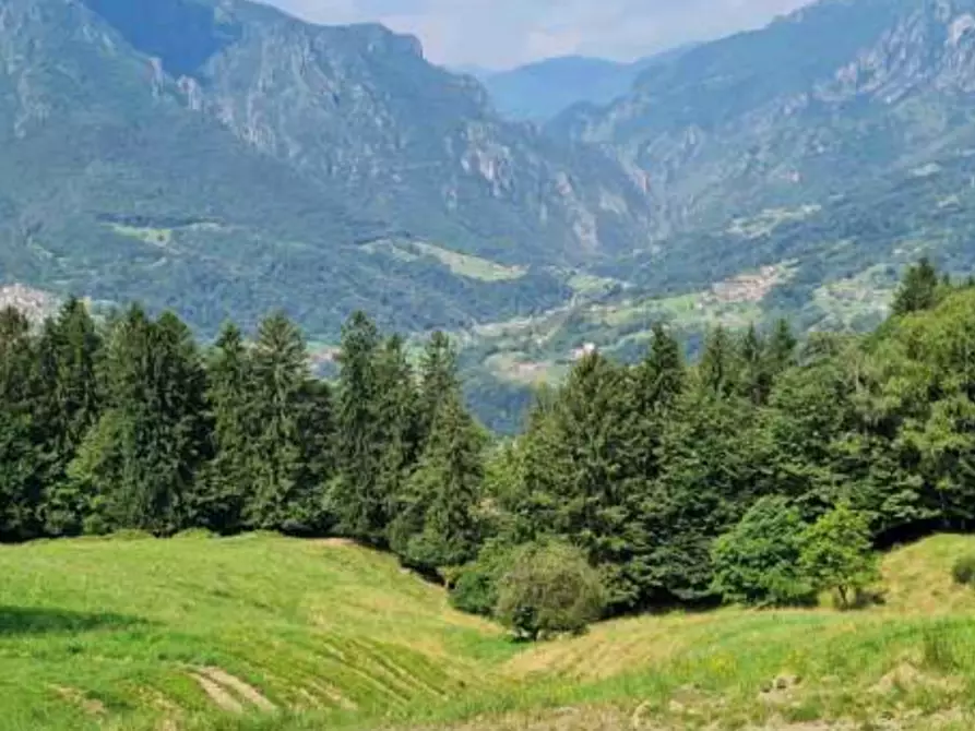 Immagine 11 di Terreno edificabile in vendita  in Via Camarelli a San Giovanni Bianco
