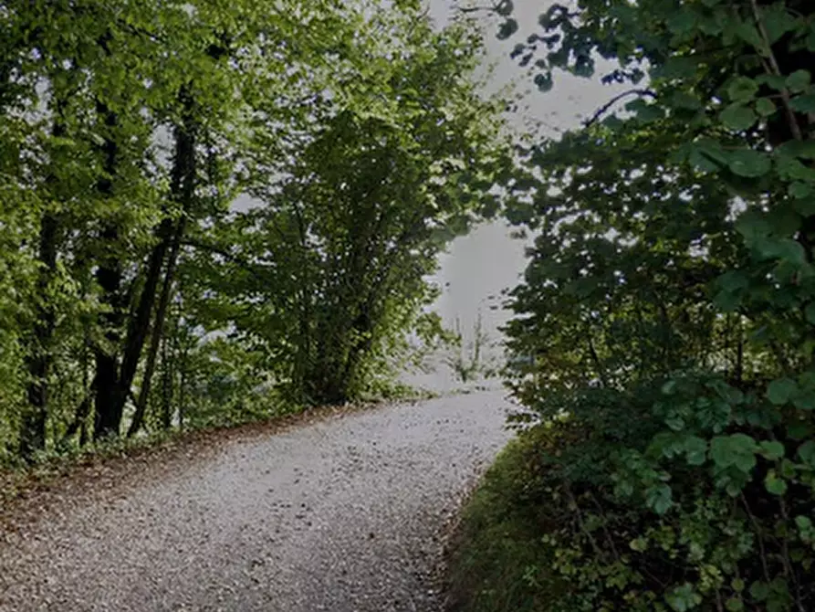 Immagine 5 di Garage in vendita  in Via Giamosa a Belluno