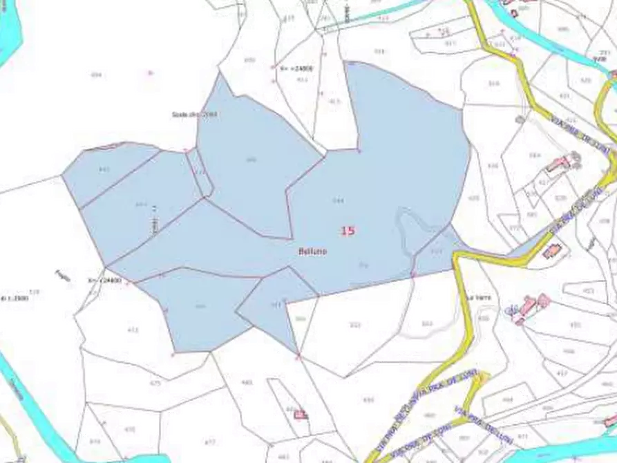 Immagine 2 di Terreno agricolo in vendita  in  Via Pra dei Luni a Belluno