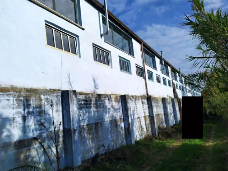 Immagine 4 di Capannone industriale in vendita  in Contrada S. Girolamo a Fermo