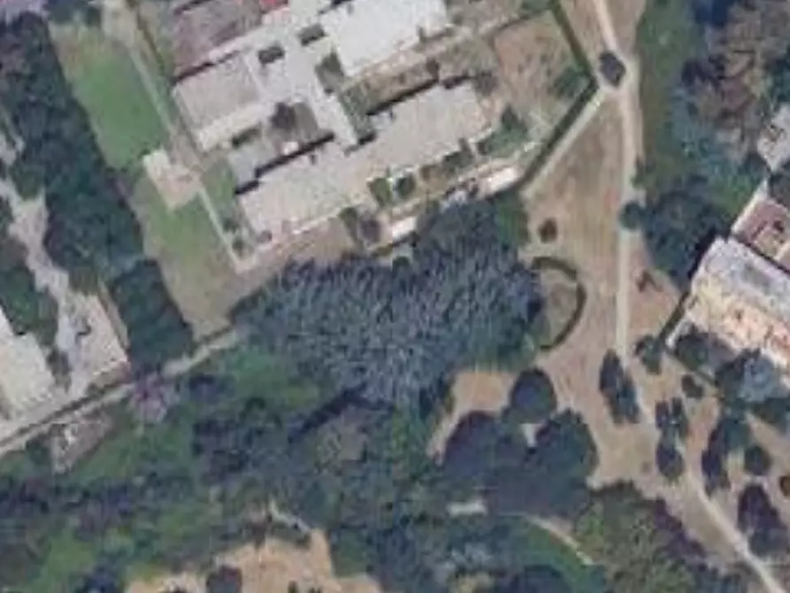 Immagine 11 di Negozio in vendita  in F.V. Nardelli a Roma