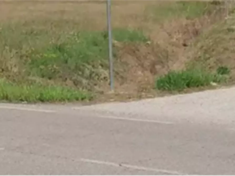 Immagine 2 di Terreno agricolo in vendita  in Via Po a Copparo