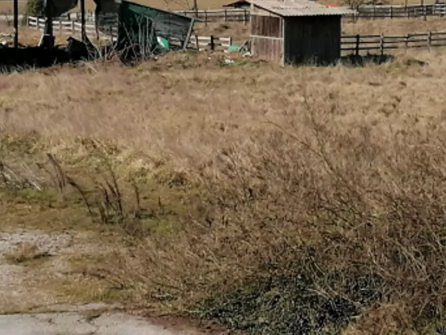Immagine 7 di Terreno agricolo in vendita  in Via Po a Copparo