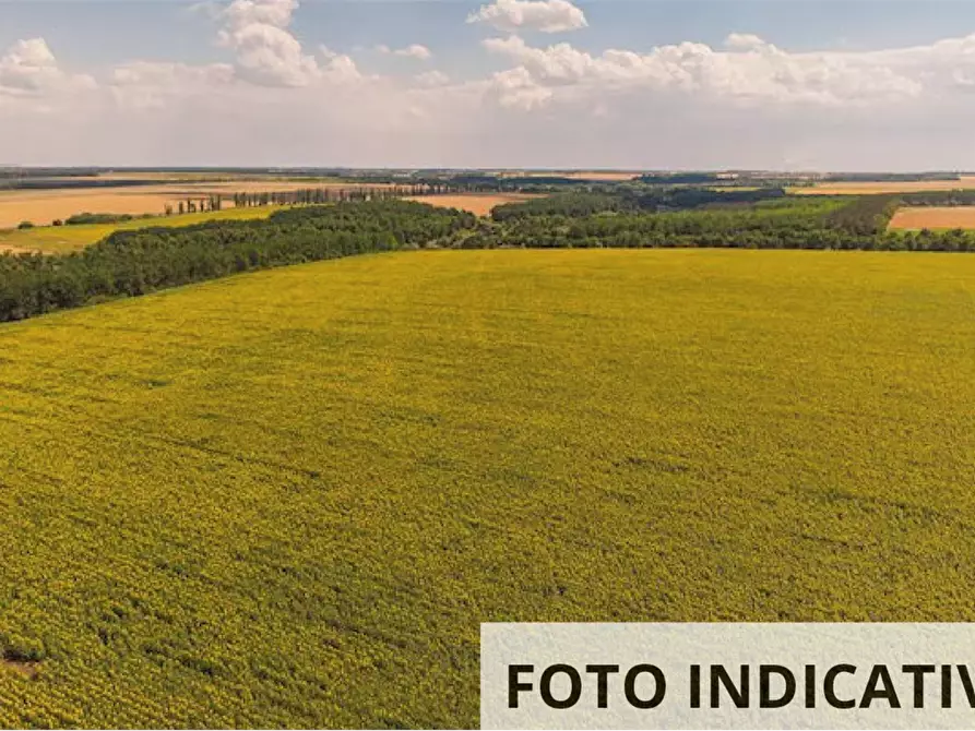 Immagine 10 di Terreno agricolo in vendita  in Via Po a Copparo