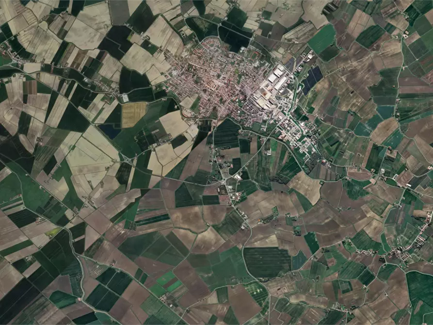 Immagine 15 di Terreno agricolo in vendita  in Via Po a Copparo