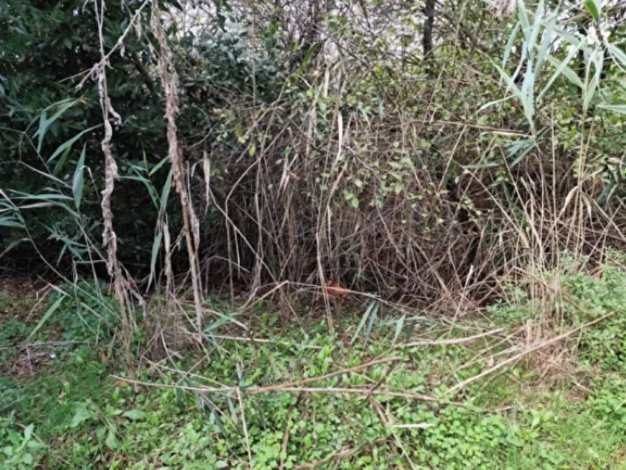 Immagine 5 di Casa indipendente in vendita  in Via Valle Raibosola a Comacchio