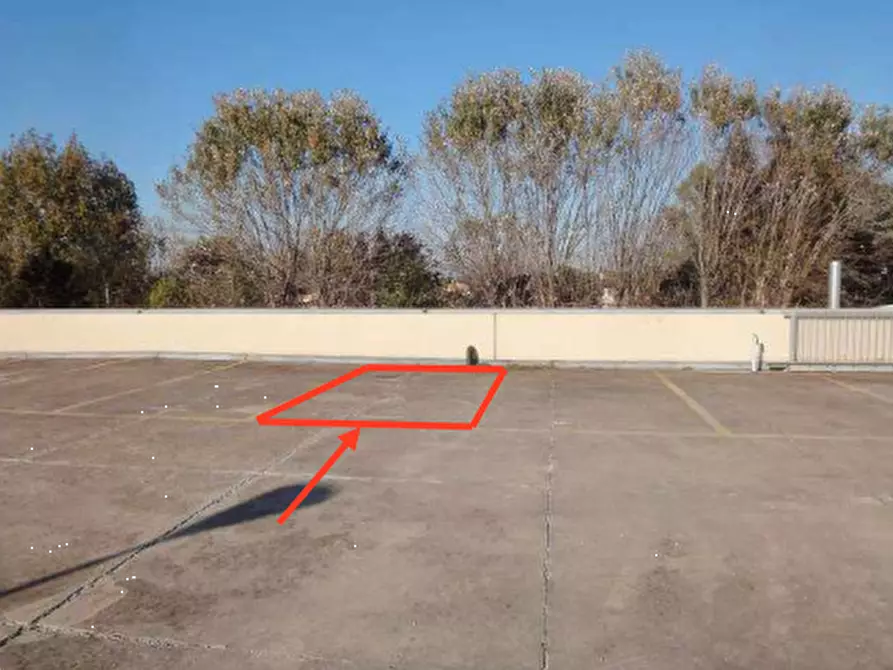 Immagine 5 di Negozio in vendita  in Via Venezia a Vigonza