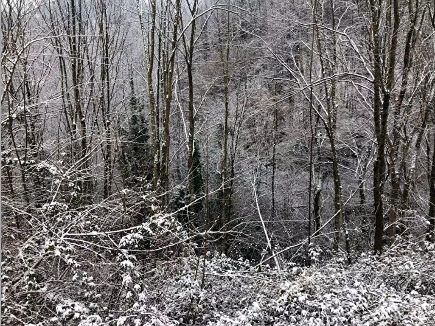 terreno agricolo in vendita a Zogno in zona Poscante