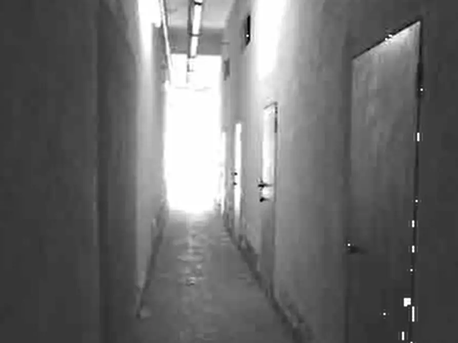 Immagine 5 di Magazzino in vendita  in Via Nettunense Nuova a Marino