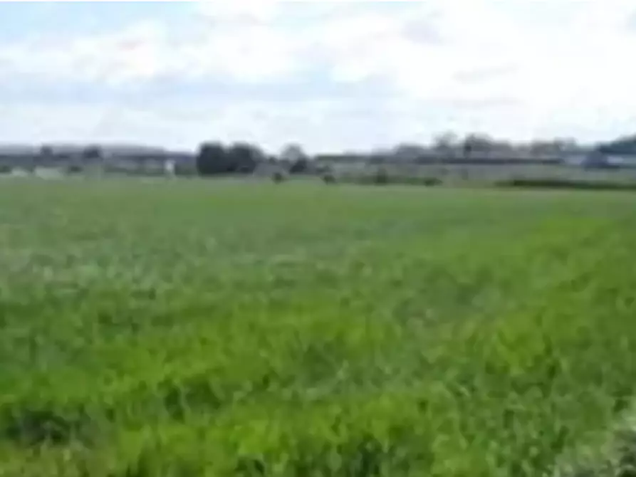 Immagine 2 di Terreno edificabile in vendita  in Viale Europa a Mondolfo