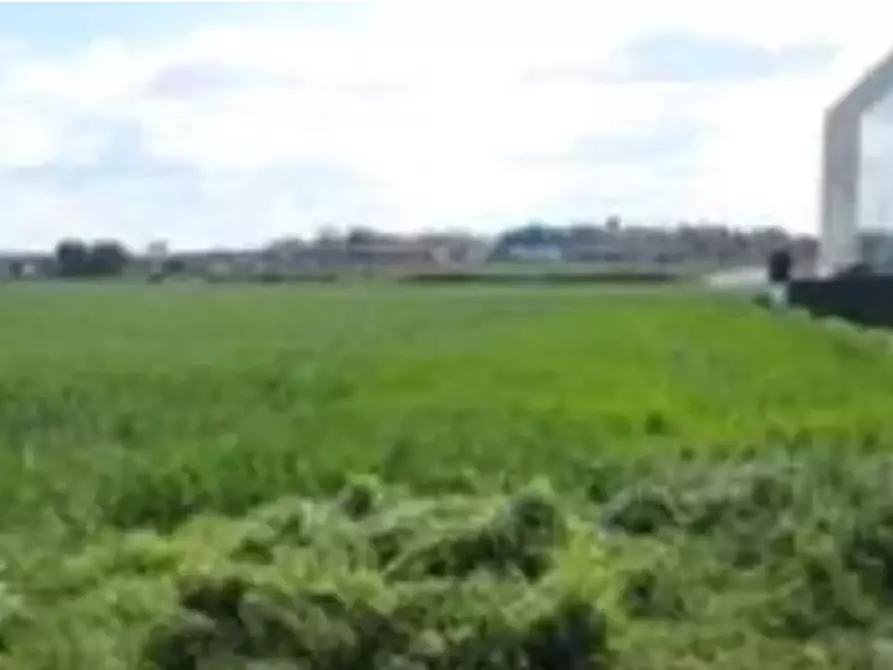 Immagine 3 di Terreno edificabile in vendita  in Viale Europa a Mondolfo