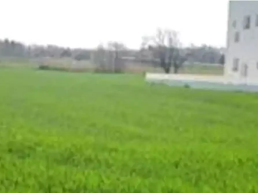 Immagine 4 di Terreno edificabile in vendita  in Viale Europa a Mondolfo