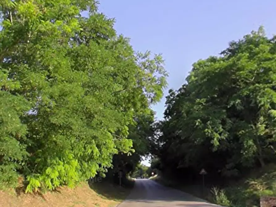 Immagine 6 di Appartamento in vendita  in Strada Valle del Profico a Sant'elpidio A Mare