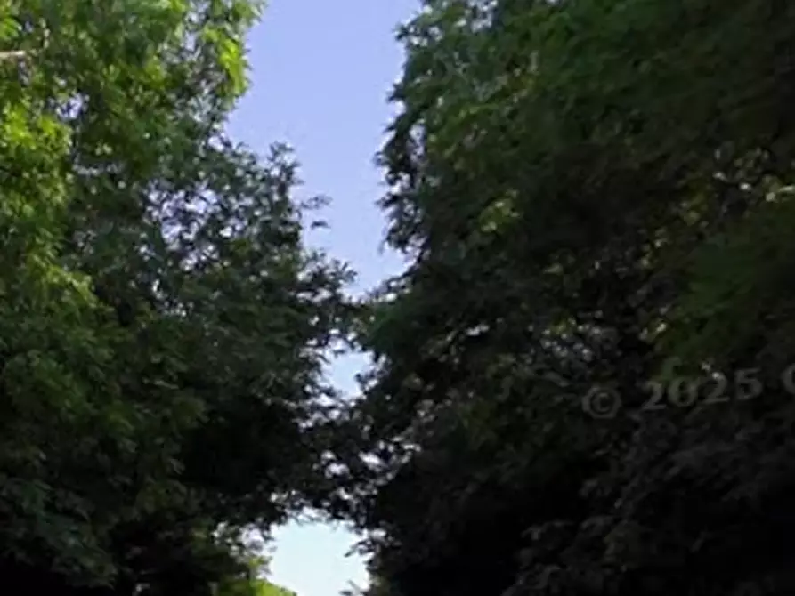 Immagine 7 di Appartamento in vendita  in Strada Valle del Profico a Sant'elpidio A Mare