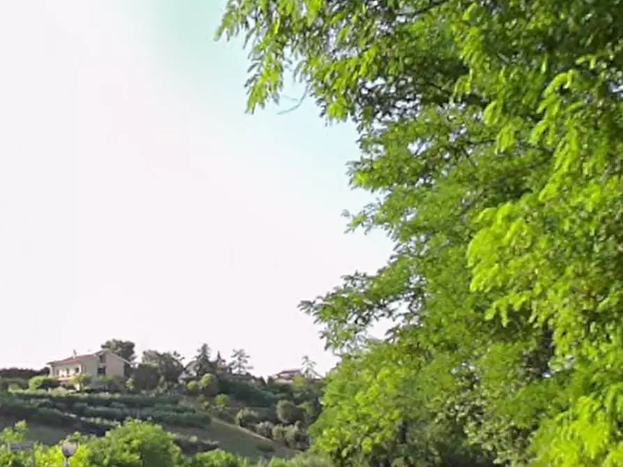 Immagine 8 di Appartamento in vendita  in Strada Valle del Profico a Sant'elpidio A Mare