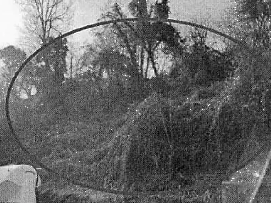 Immagine 3 di Terreno edificabile in vendita  in Località Foresto Sparso a Foresto Sparso