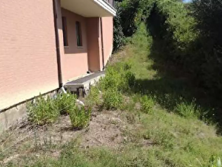 Immagine 6 di Ufficio in vendita  in Via Robert Baden Powell a Montegranaro