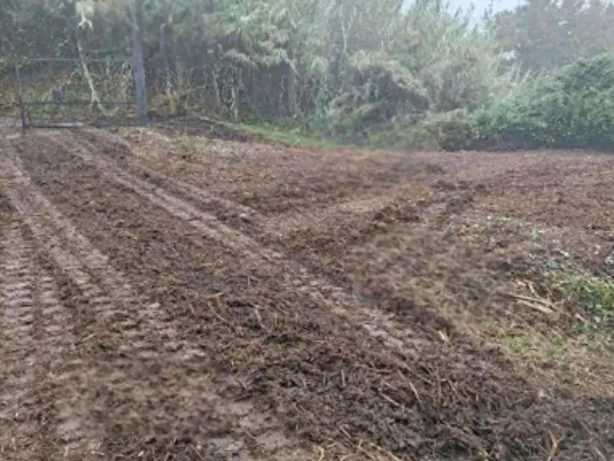 Immagine 7 di Porzione di casa in vendita  in Cascina Casa del Rosso  a Odalengo Grande