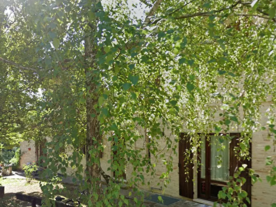 Immagine 9 di Appartamento in vendita  in Via dei Molinelli a Urbino