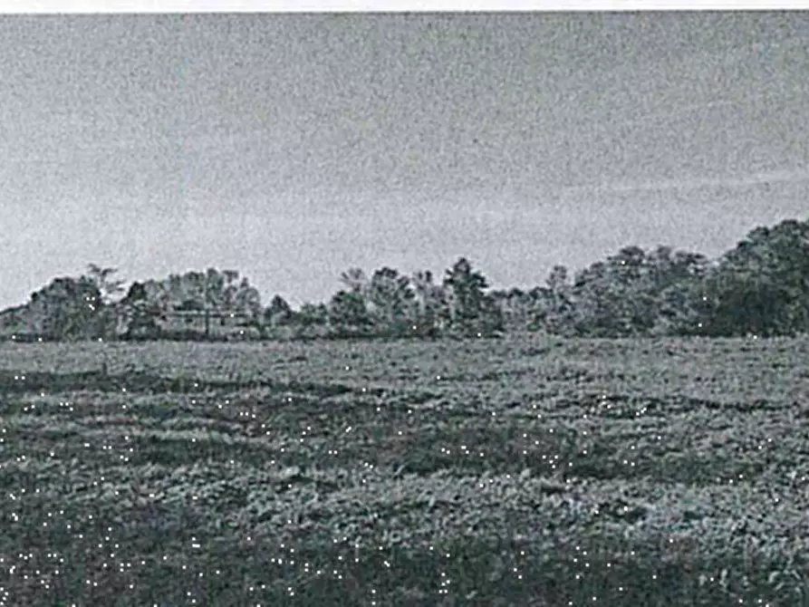 Immagine 4 di Casa indipendente in vendita  in via Obbia Alta a Trebaseleghe