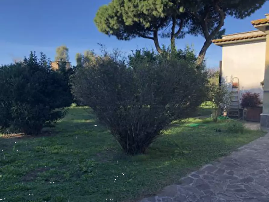 Immagine 7 di Villa in vendita  in Viale Maria  a Fiumicino