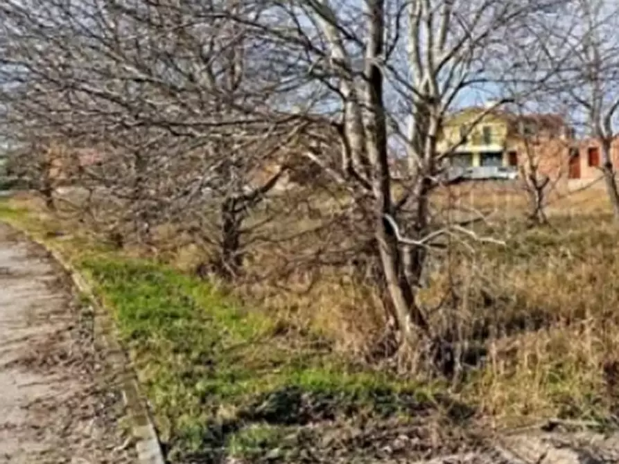 Immagine 5 di Terreno edificabile in vendita  in  via San Giuseppe a Chioggia