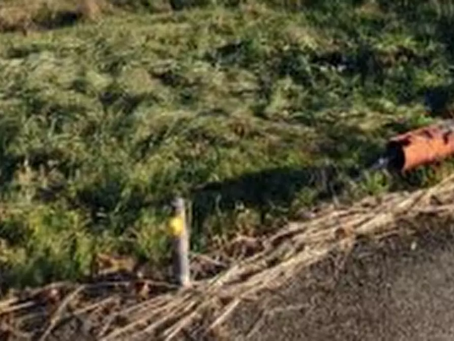 Immagine 4 di Terreno edificabile in vendita  in Via Papa Giovanni Paolo II a Orgiano