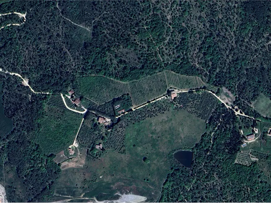 Immagine 4 di Villa in vendita  in Località Poneta a Greve In Chianti