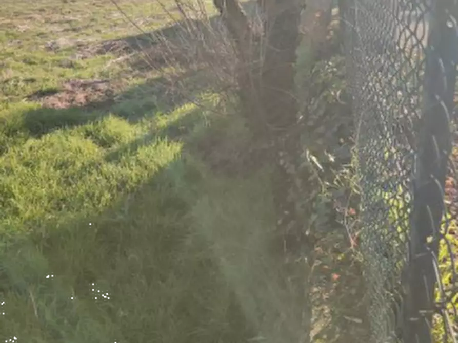 Immagine 5 di Terreno edificabile in vendita  in Via Papa Giovanni Paolo II a Orgiano