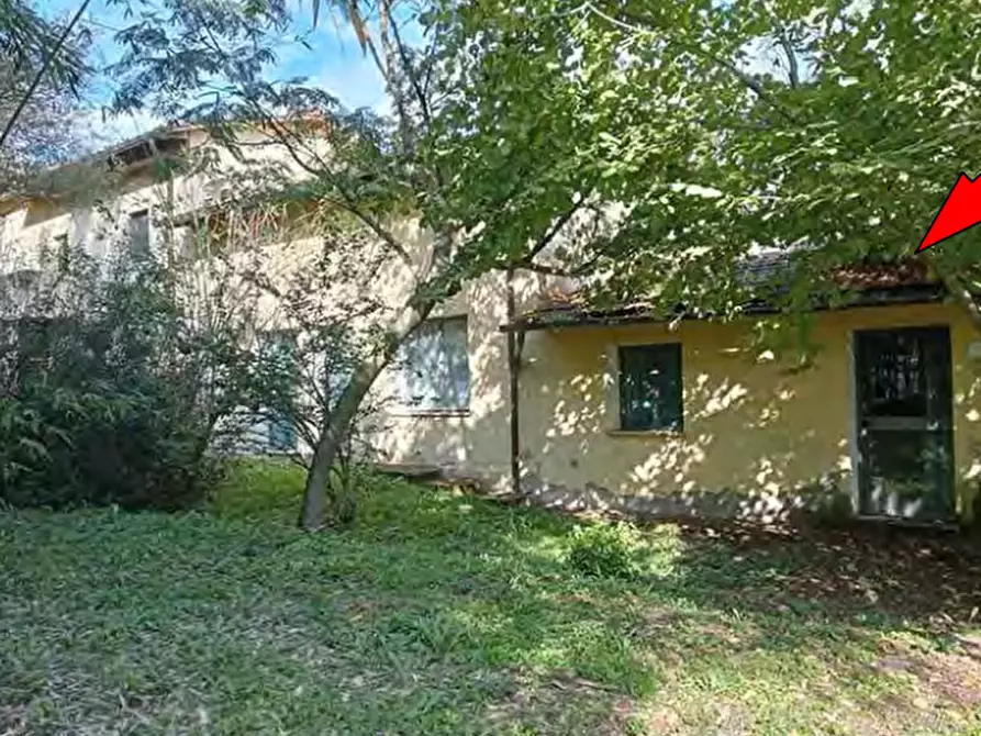 Immagine 9 di Azienda agricola in vendita  in Strada Vicinale delle Lame a Rignano Sull'arno