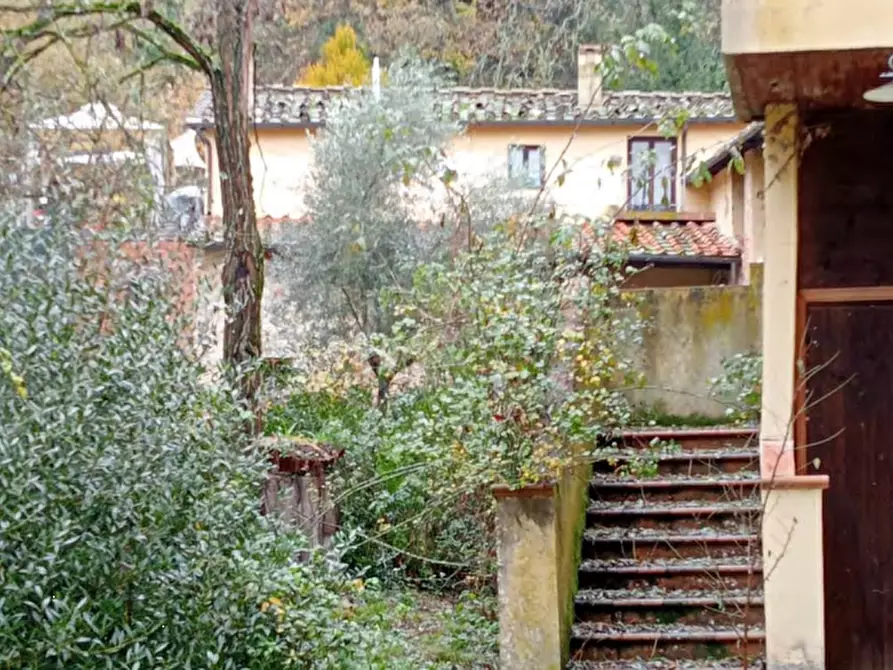 Immagine 12 di Azienda agricola in vendita  in Strada Vicinale delle Lame a Rignano Sull'arno