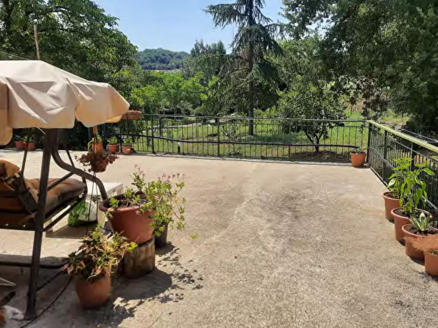 Immagine 13 di Azienda agricola in vendita  in Strada Vicinale delle Lame a Rignano Sull'arno