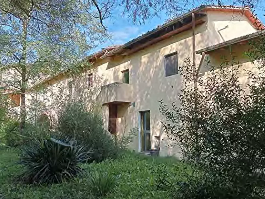Immagine 14 di Azienda agricola in vendita  in Strada Vicinale delle Lame a Rignano Sull'arno