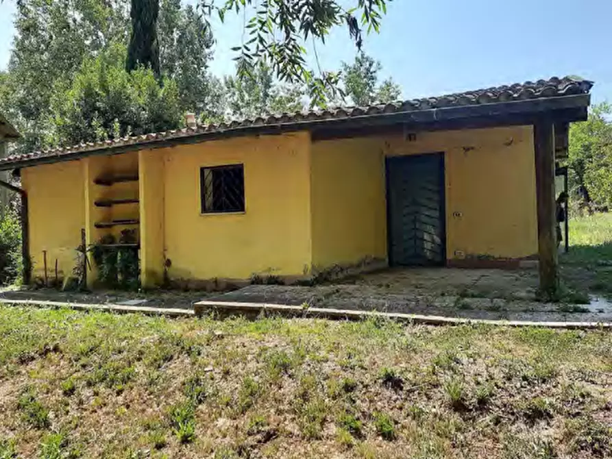 Immagine 15 di Azienda agricola in vendita  in Strada Vicinale delle Lame a Rignano Sull'arno