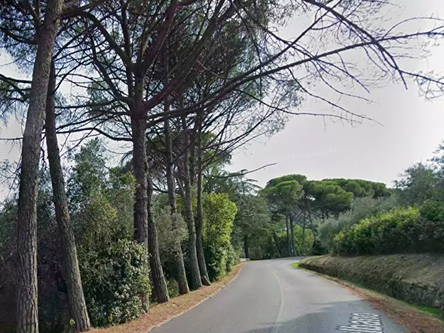 Immagine 8 di Appartamento in vendita  in Via Provinciale di Montalbano a Serravalle Pistoiese