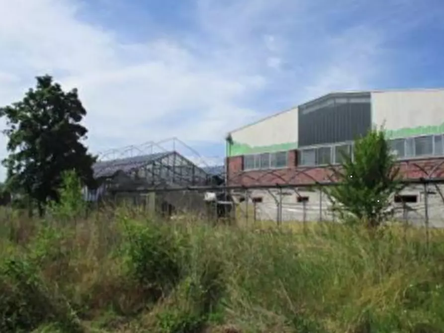 Immagine 3 di Capannone industriale in vendita  in Viale Europa a Marano Vicentino