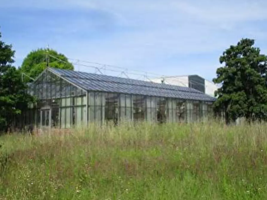 Immagine 5 di Capannone industriale in vendita  in Viale Europa a Marano Vicentino