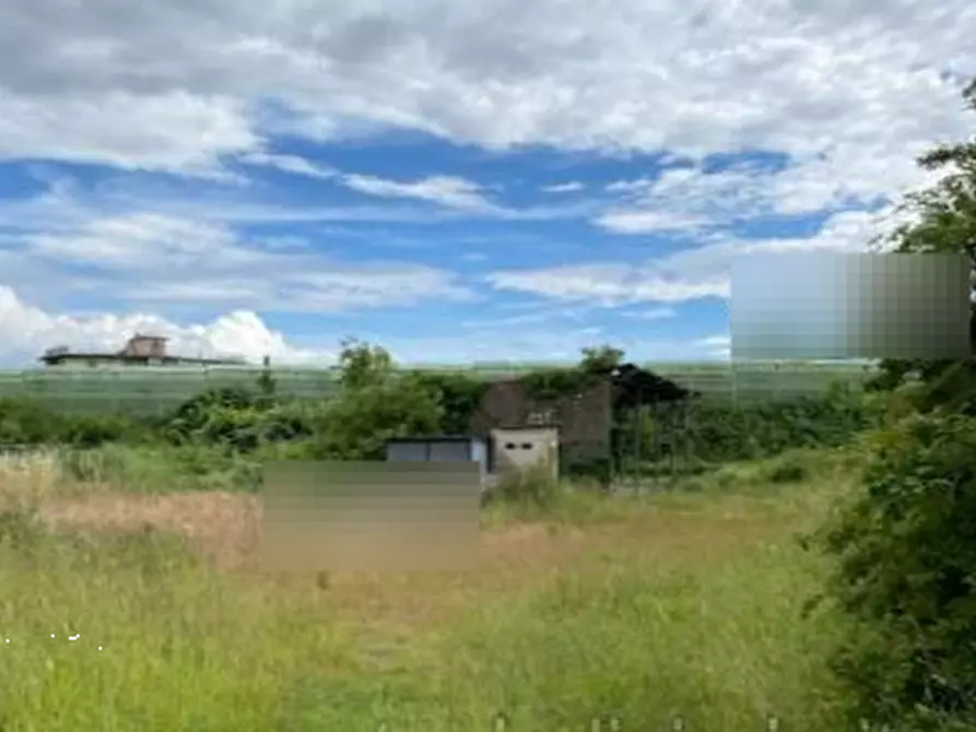 Immagine 1 di Terreno agricolo in vendita  in via Fonda a Pieve A Nievole