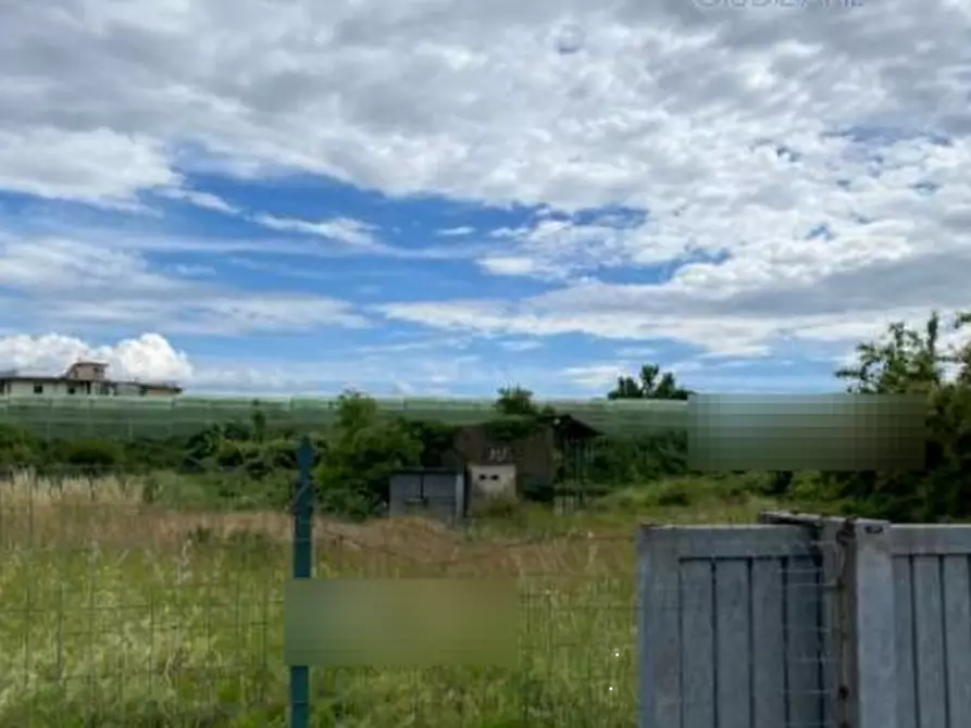 Immagine 2 di Terreno agricolo in vendita  in via Fonda a Pieve A Nievole