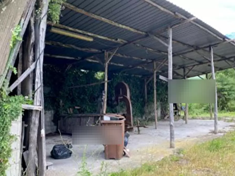 Immagine 3 di Terreno agricolo in vendita  in via Fonda a Pieve A Nievole