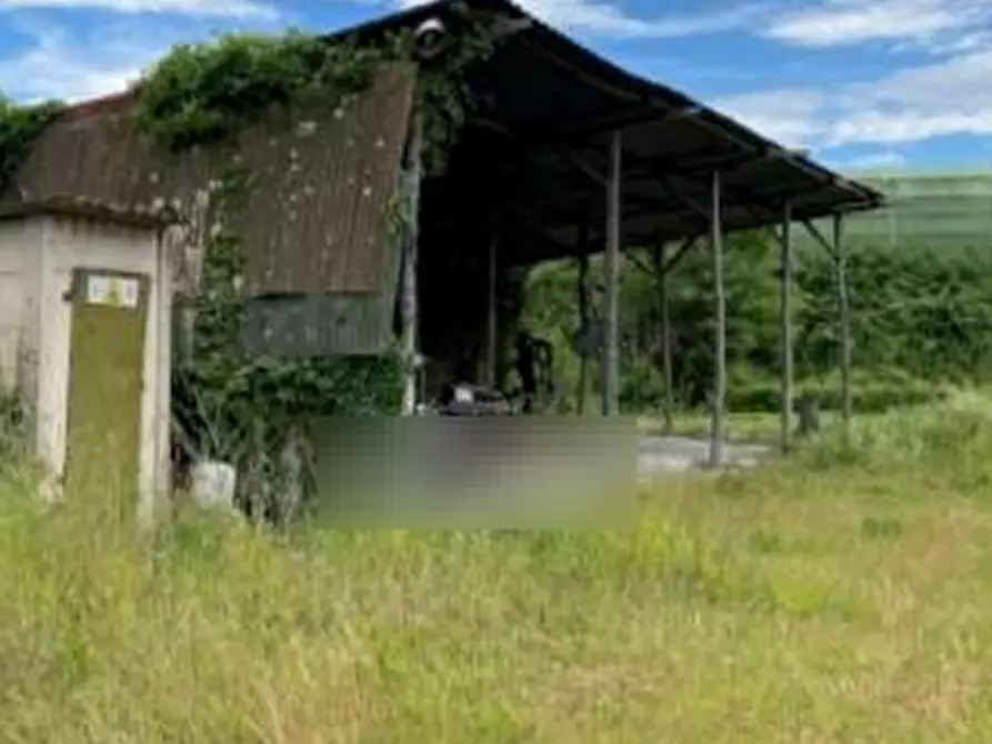 Immagine 4 di Terreno agricolo in vendita  in via Fonda a Pieve A Nievole